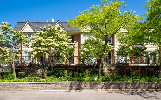 The Kings (c) Photo by SHANE Maps exclusively for SHANE Maps