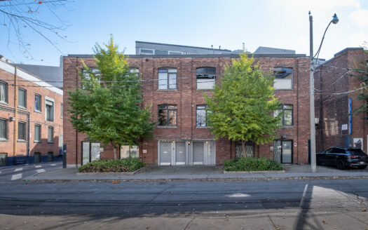 Stonecutter (c) Photo by Arne Peterson exclusively for SHANE.