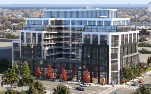 Curio Condos on the Queensway