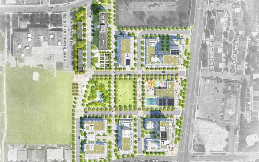 TCHC Firgrove-Grassways Revitalization