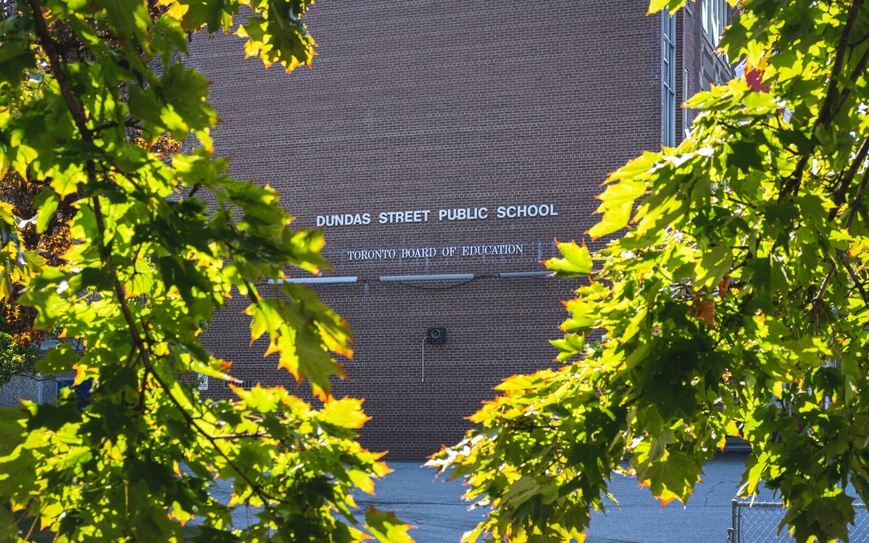 Dundas Junior Public School (c) Photos by SHANE Maps exclusively for SHANE Maps.