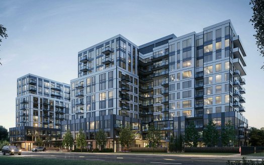 Narrative Condos